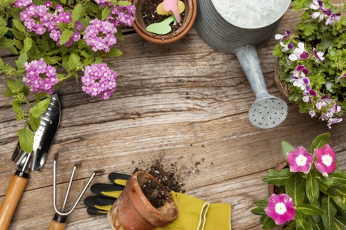 Aerating and refreshing a lawn in Mill Hill for healthier growth