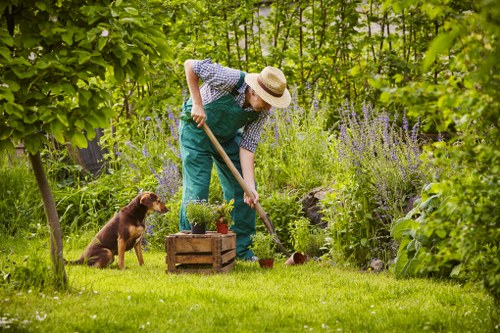 Seasonal lawn maintenance and edging in Mill Hill