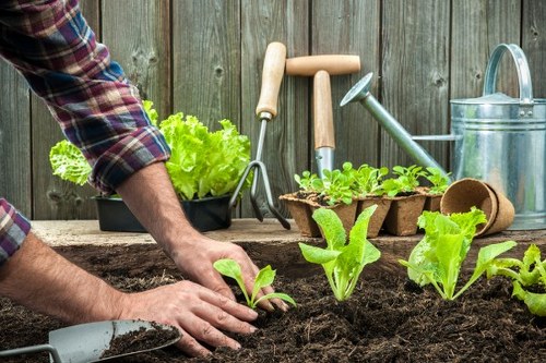 Illustration of a gardener reviewing a complaint procedure