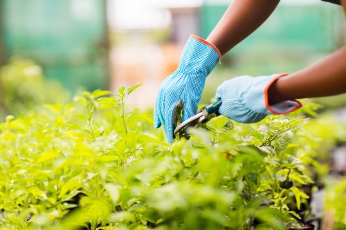 Ongoing safety-focused garden maintenance practices