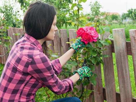 Illustration of accessible Gardeners Mill Hill service content