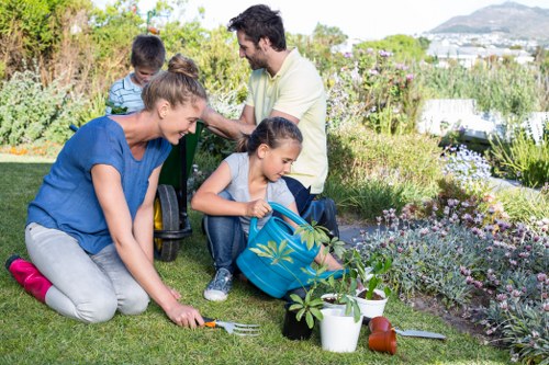 Materials separated for recycling and reuse during garden clearance