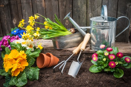 Free quote policy for garden services in Mill Hill with transparent pricing