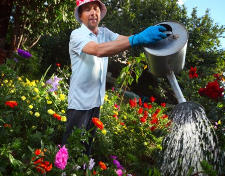 Well-maintained Mill Hill garden with planting and lawn care