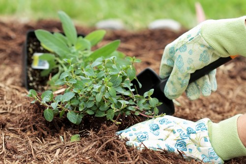 Governing law section for UK gardening terms