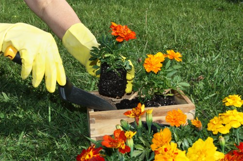 Removal of bulky garden waste and old outdoor items in Mill Hill