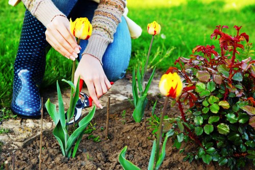 Image showing a gardening service complaint being acknowledged