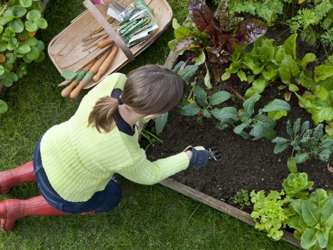 Local gardening service in Mill Hill trimming shrubs and borders