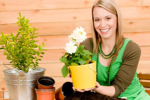 Professional garden clearance and planting in Mill Hill