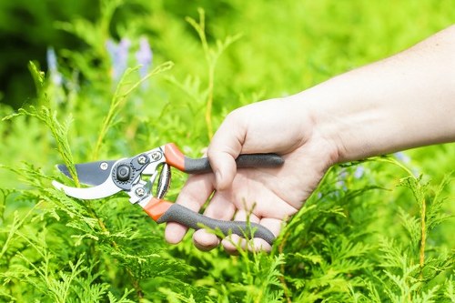 Safe and insured gardening service in Mill Hill