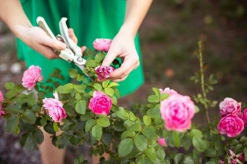 Seasonal garden maintenance in a Mill Hill outdoor space