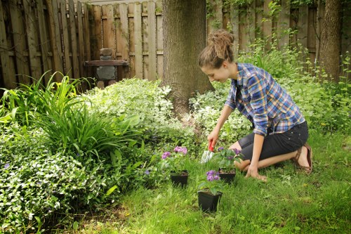 Professional patio washing in Mill Hill garden area