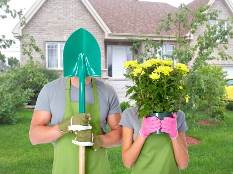 Front garden landscaping in Mill Hill with pathways and shrubs