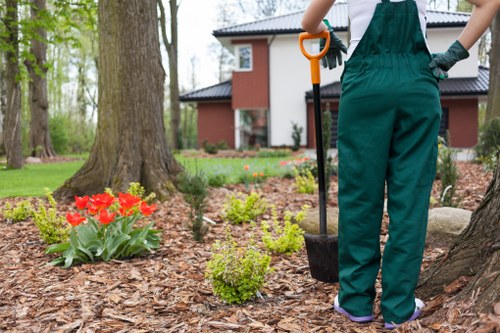Professional grass cutting in a residential Mill Hill property