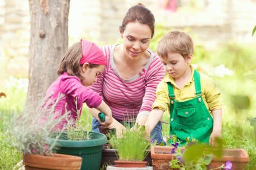 Professional gardening care in a Mill Hill outdoor space
