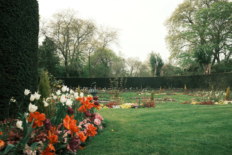 A well-maintained garden scene showing a neatly trimmed green lawn with lush border planting of various foliage and flowering plants. On the left, large broad-leaved hostas with dark green, ribbed lea