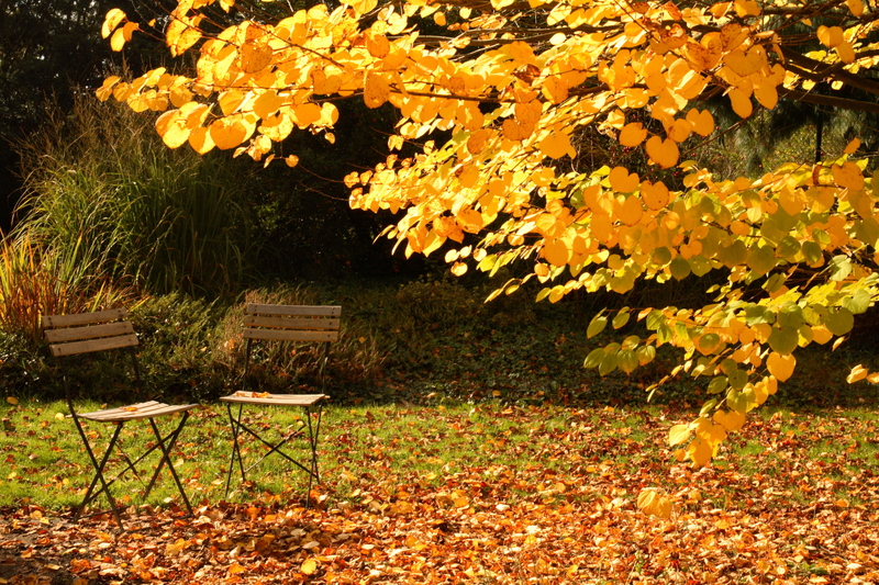 garden design Garden